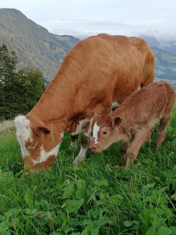 Hahnenkammblick Villa Kitzbuhel Bagian luar foto