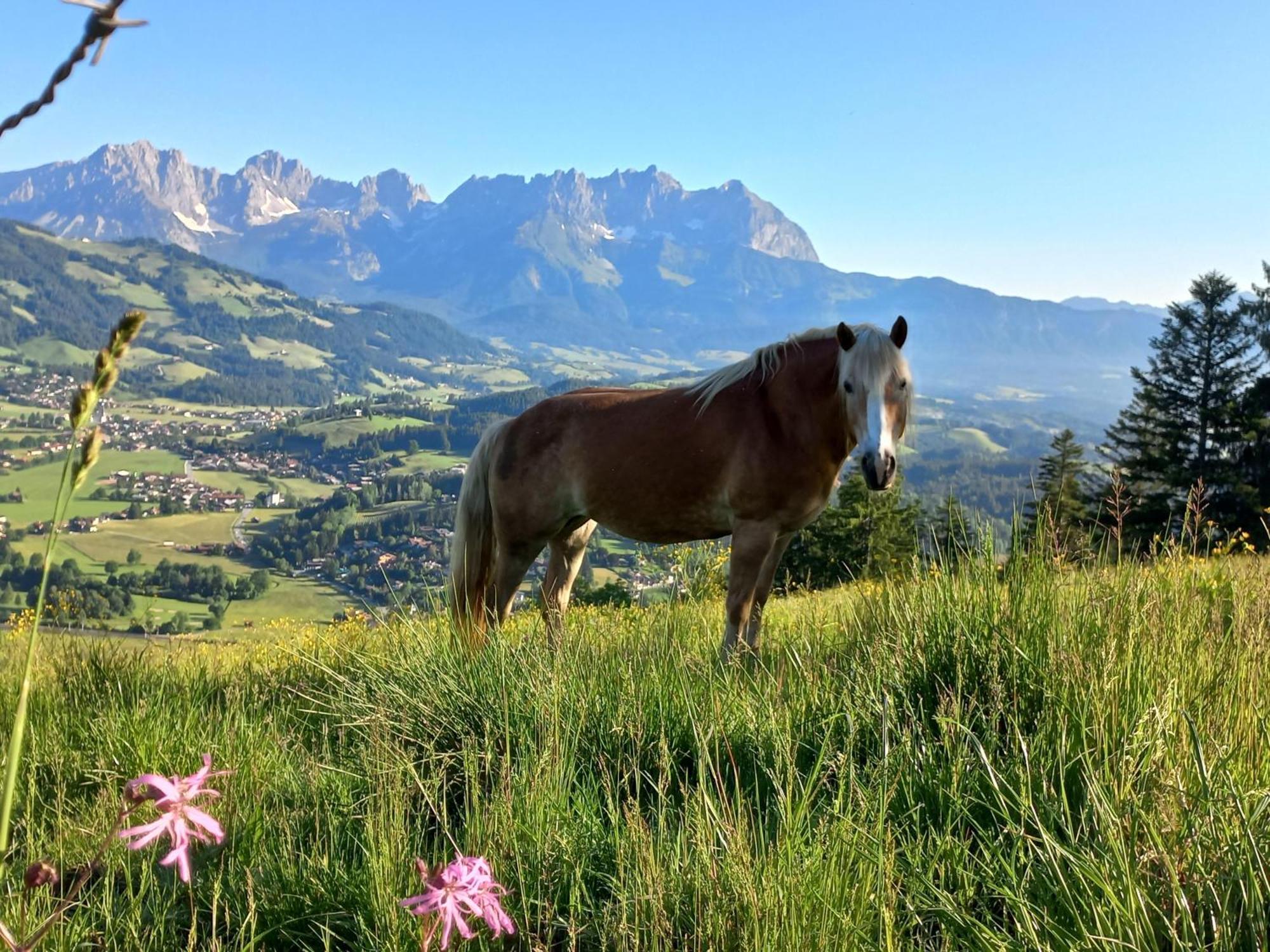 Hahnenkammblick Villa Kitzbuhel Bagian luar foto