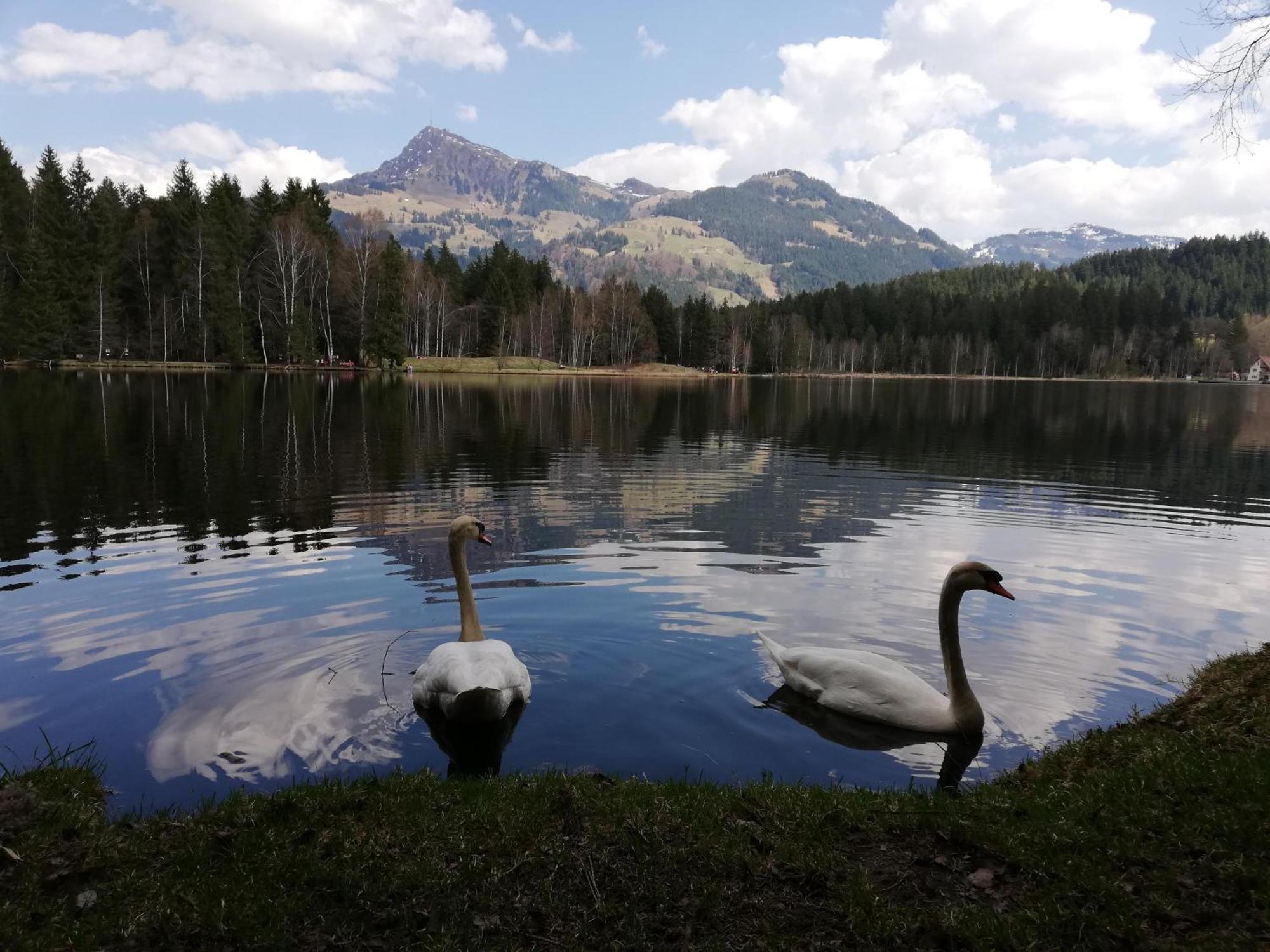 Hahnenkammblick Villa Kitzbuhel Bagian luar foto